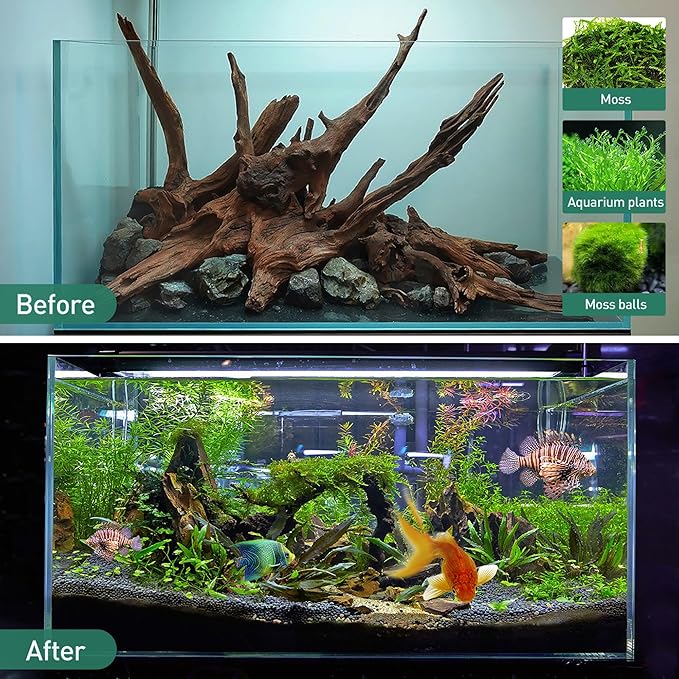WDEFUN Natural Driftwood for Aquarium Decor, 10-Piece 2''-5'' Small Driftwood for Decorations on Fish Tank, Reptiles Bearded Dragon Accessories or Air Plants