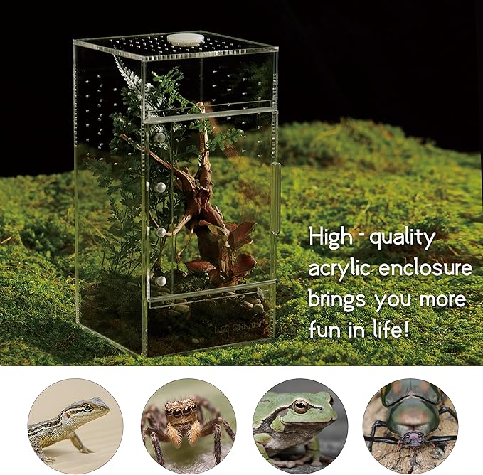 Acrylic Terrarium for Reptiles & Spiders – Small/Medium/Large Leak-Proof Enclosure (Horizontal/Vertical) | Ideal for Tarantulas, Jumping Spiders, Frogs & Geckos(Small Vertical)