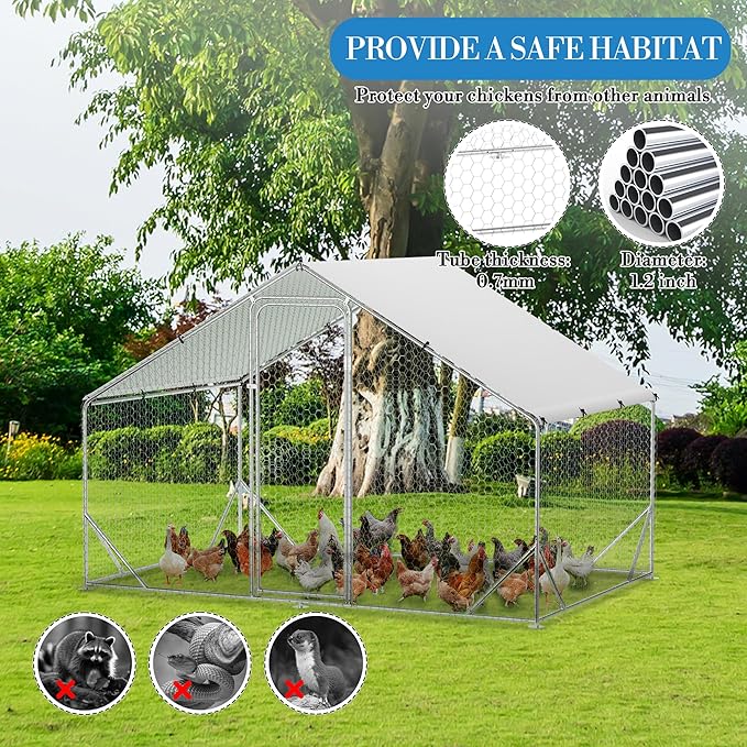 Large Metal Chicken Coop Run,Outdoor Walk-in Cage Peak Hen House with Waterproof and Anti-Uv Cover,Spire Roof Hen House with Security Lock for Outdoor,Backyard and Farm, 9.8 x 6.5 x 6.5 ft