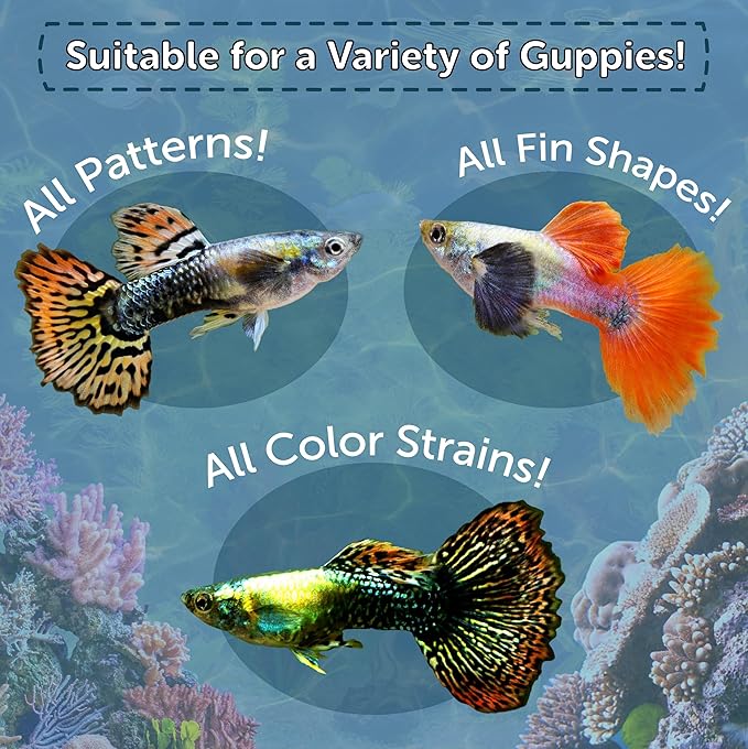 Aquatic Foods Inc. Premium Guppy and Endler Flake Food Also for Tetras, Zebras, All Nano and Micro Fish Also Pellet Mix, Wafer Mix Included…6oz