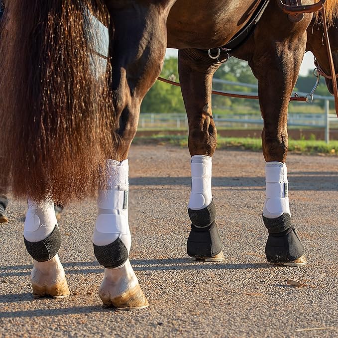 Professional's Choice 2XCOOL Sports Medicine Horse Boots | Protective & Breathable Design for Ultimate Comfort & Durability in Active Horses | Value 4 Pack | Large White