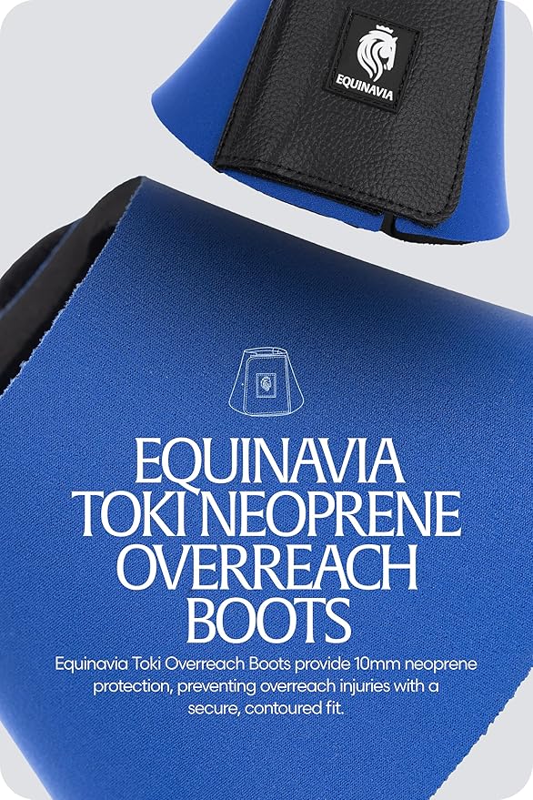 Equinavia Toki Bell Boots for Horses | Neoprene Overreach Boots - Royal Blue - S