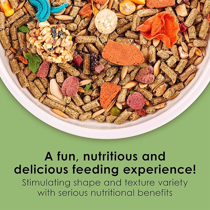 Kaytee Fiesta Guinea Pig Food, Nutritious and Fun Blend, Supports Dental Health and Digestion, 4.5 pounds