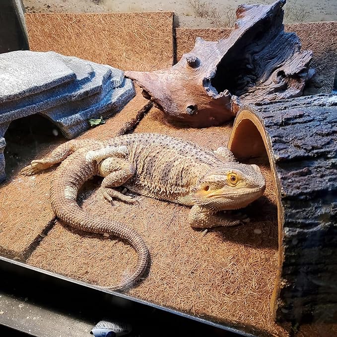 PINVNBY 2 Pcs Reptile Carpet Coconut Fiber Mat,Lizard Terrarium Substrate Liner Gecko Tank Flooring Bearded Dragon Tank Accessories Bedding for Snakes Chameleons Tortoises
