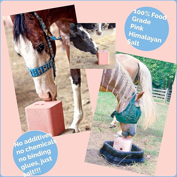 Himalayan Secrets Compressed Pink Salt Lick for Livestock and Wildlife Animals, Pure & Natural Feed Salt Block, Minerals & Trace Elements, No Additives, 5.5LB (2.5KG)
