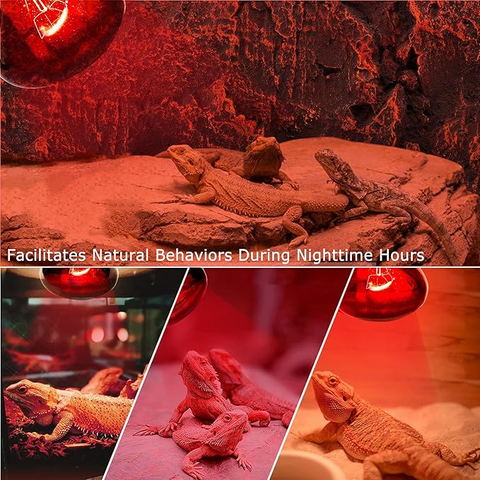 75W Infrared Basking Spot Light Bulbs for Reptiles&Amphibians,Suitable for Bearded Dragons, Snakes, Turtles&Lizards, Red Heat Lamp Bulbs Ideal for Pet Brooders,Reptile Terrarium&Turtle Tank