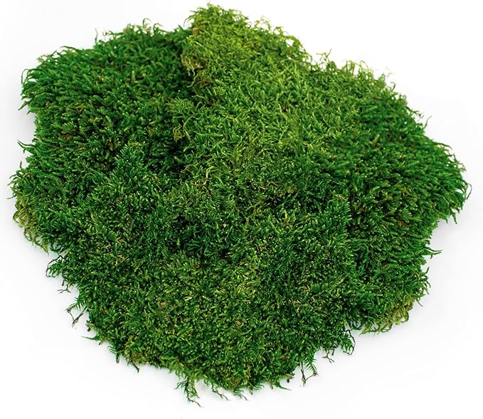 Galapagos (05241) Sheet Moss for Reptile & Amphibian Terrariums, 150 cu. in.