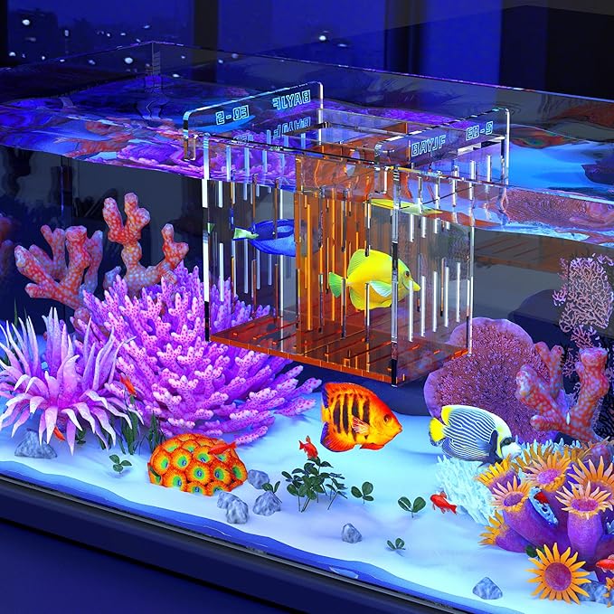 Fish Breeder Isolation Box for Aquarium Tank,Transparent Orange Acrylic Fish Acclimation Box for Clownfish Guppy Betta Coral (S)