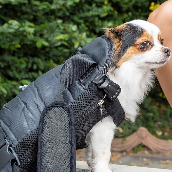 Mr. Pen- Pet Carrier Backpack, Weighing Up to 12 lbs, Adjustable Dog Carrier Backpacks