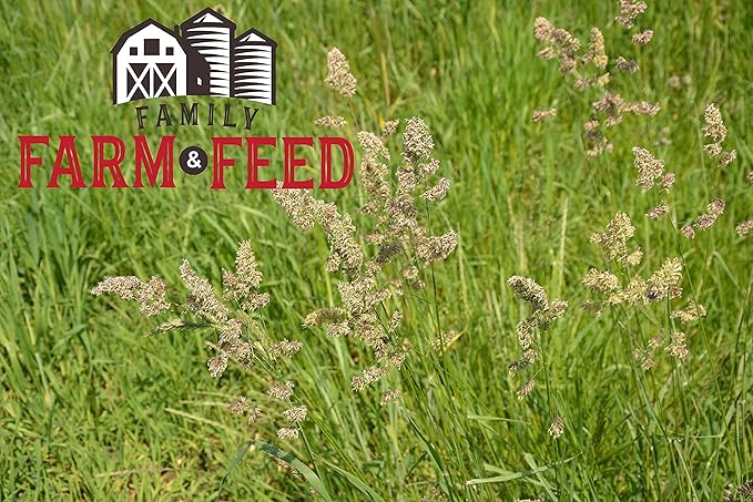 | Orchard Grass Food | Small Pet | Young and Adult | Pellets | 3 Pounds