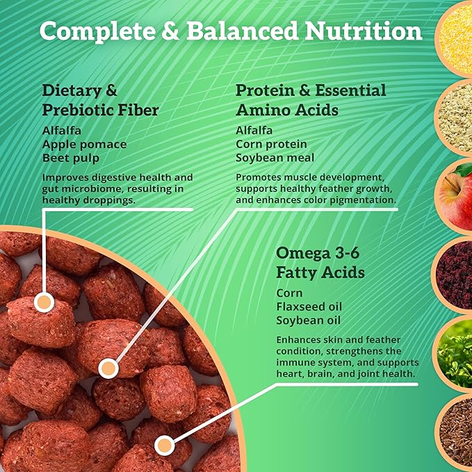 Scenic Apple Paradise Premium Parrot Food - Apple & Natural Flavors, High Protein, Low Iron Conure Bird Food, Eclectus & Other Small Pet Parrots, Omega 3, Vitamins & Minerals, 2 LB (Pack of 2)
