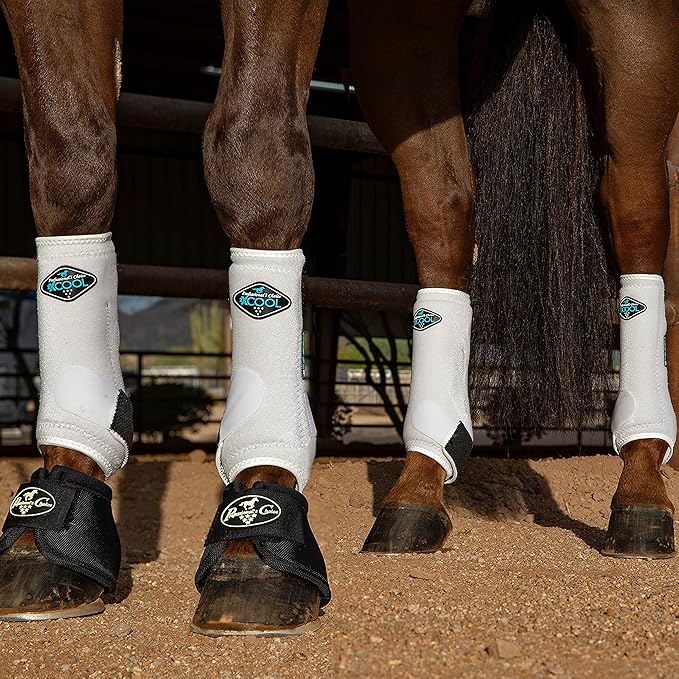 Professional's Choice 2XCOOL Sports Medicine Horse Boots | Protective & Breathable Design for Ultimate Comfort & Durability in Active Horses | Value 4 Pack | Large White