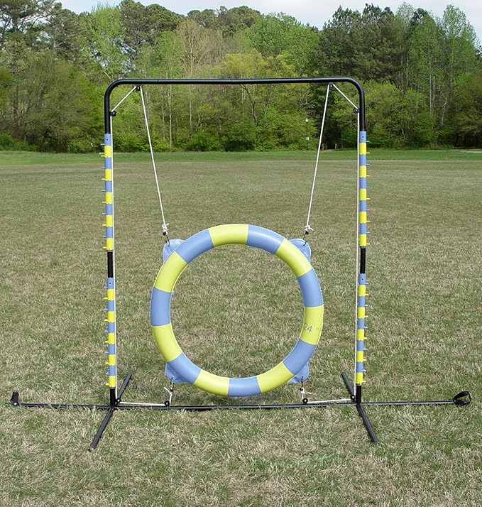Agility Tire Jump (Hoop Jump)