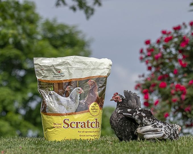 Manna Pro Ultimate Chicken Scratch Feed, Nutrient-Rich Scratch Grain Treat for Chickens and Poultry, Natural Multigrain Blend for Backyard Flocks and Laying Hens, Made in USA, 10 lb Bag