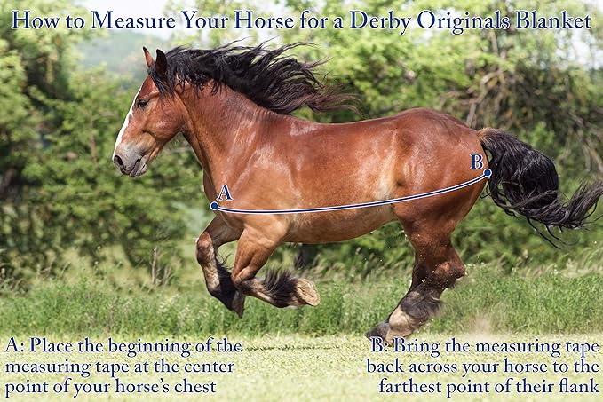 Derby Originals Nordic-Tough 1200D Heavyweight Mini Horse & Pony Turnout Blanket – Waterproof, Breathable, 300g Insulation, 210T Lining, Reflective, 2-Year Warranty (Turquoise, 42")