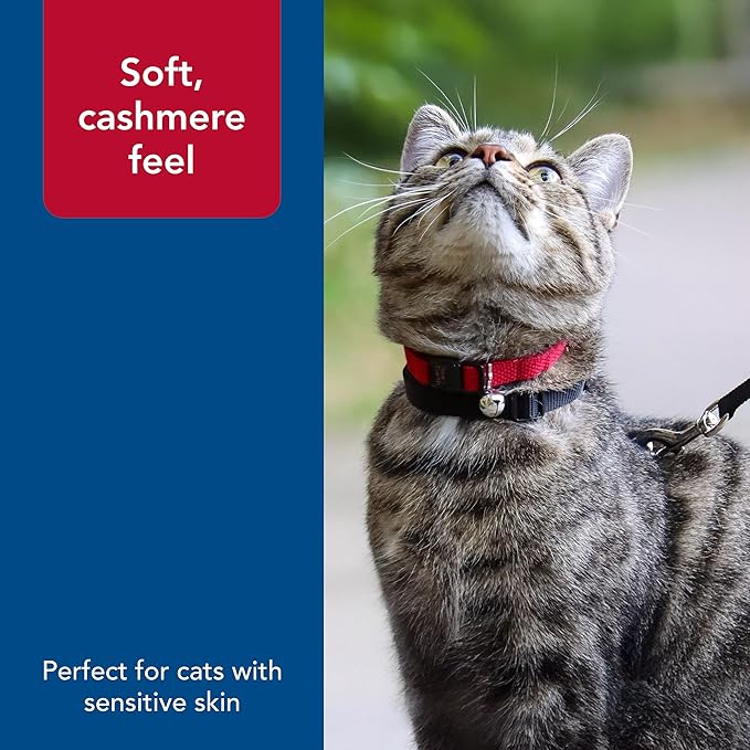 Coastal Pet New Earth Soy Adjustable Breakaway Cat Collar - Eco-Friendly, Odor-Resistant and Adjustable Cat Collar, Rose, 3/8" x 08"-12"