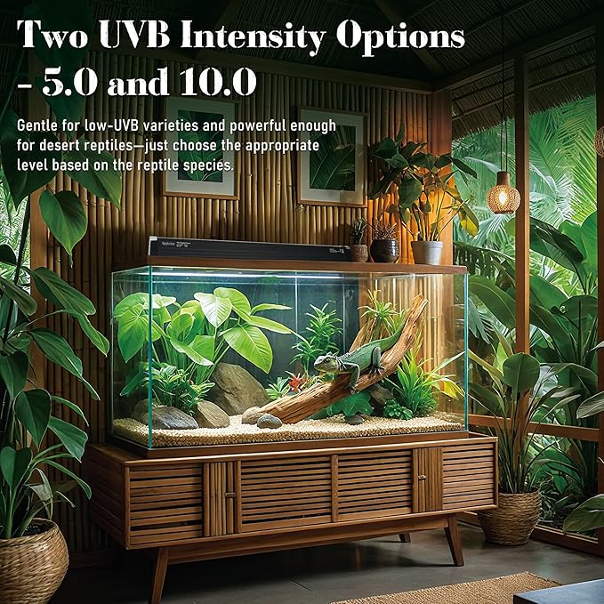 T5 Reptile UVB Light 6.5 Inches Fixture with UVB 10.0 Bulb High Output Hood for Terrariums, Basking Reptiles, Lizards, Chameleons, Iguanas, Bearded Dragons, 4W