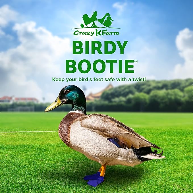 Duck Shoes for Injured Feet – Protective Neoprene Footwear for Ducks, Protective Shoes for Birds with Injured feet, Bumblefoot Relief - Large, 4.5” Max. Inside Width - Royal Blue