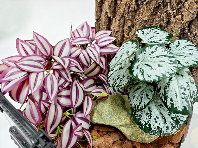 Woyrise 2 Pack Reptile Plants, Terrarium Hanging Plant Vines, Artificial Leaves with Suction Cup, Bearded Dragon Tank Accessories for Gecko Lizard Snake Frog Tortoise Decorations - Zebrina Purple