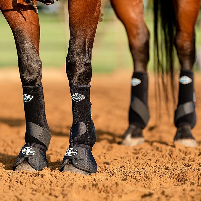 Professional's Choice 2XCOOL Sports Medicine Horse Boots | Protective & Breathable Design for Ultimate Comfort & Durability in Active Horses | Value 4 Pack | Small Black