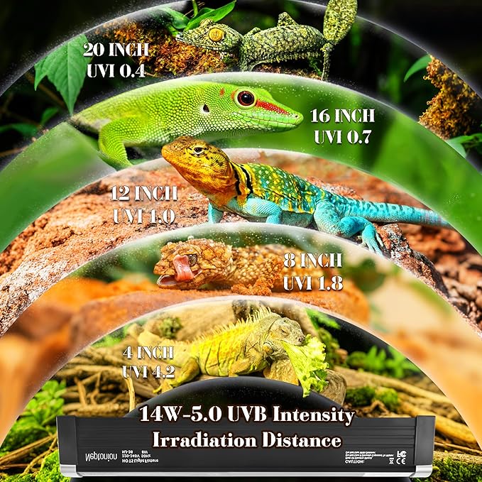 T5 Reptile UVB Light 22.7 Inches Fixture with UVB 5.0 Bulb High Output Hood for Terrariums, Basking Reptiles, Lizards, Chameleons, Iguanas, Bearded Dragons, 14W