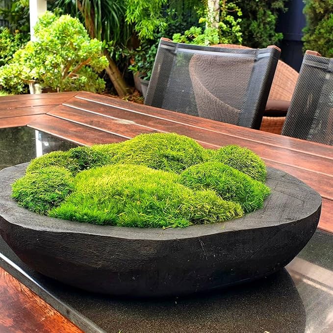 Preserved Pole Moss Pillow Bun Cushion Natural Green Decorative Real Natural Green DIY Kit Terrariums Gardenning Art Wall Decor Florist Decor Easter Table Wedding(1.5 sq.ft, Green-B)