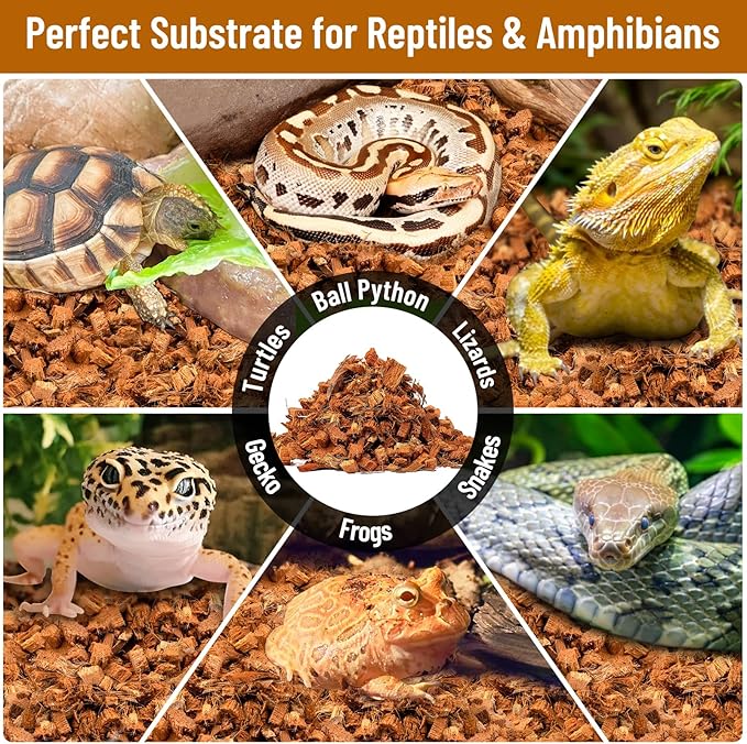 Riare 8 Pack Natural Coconut Chip Substrate for Reptiles- Compressed Coconut Husk Reptiles Bedding, Coco Husk Chip Terrarium Substrate for Snakes, Tortoises, Ball Python, Frogs, Bearded Dragon, Lizard
