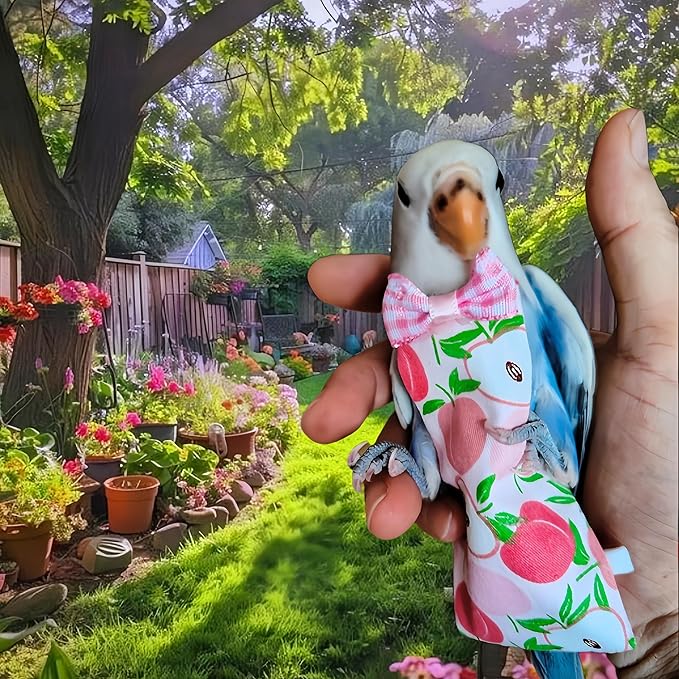 5 Pcs Bird Diapers Bird Harness Flight Suits Diapers Reusable Parrot Nappy with Waterproof Inner Layer Washable Cute Urine Wet Suit for Cockatiel Budgie Conure Macaw Parakeet Lovebird,S