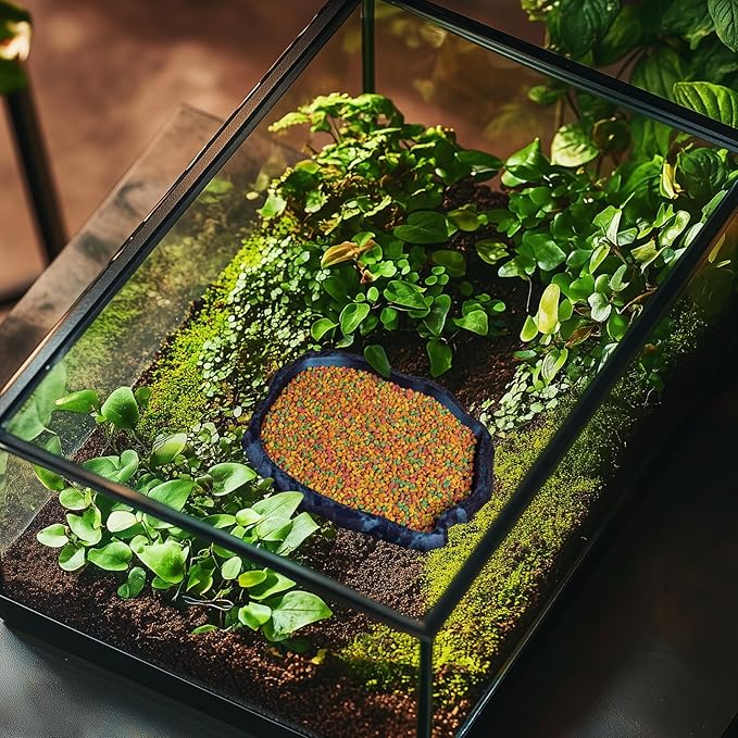 Gecko Cave Reptile Feeding Tray – Naturalistic Pet Dish for Lizards, Snakes, Bearded Dragons, Tortoises & Turtles - Burnt Titanium