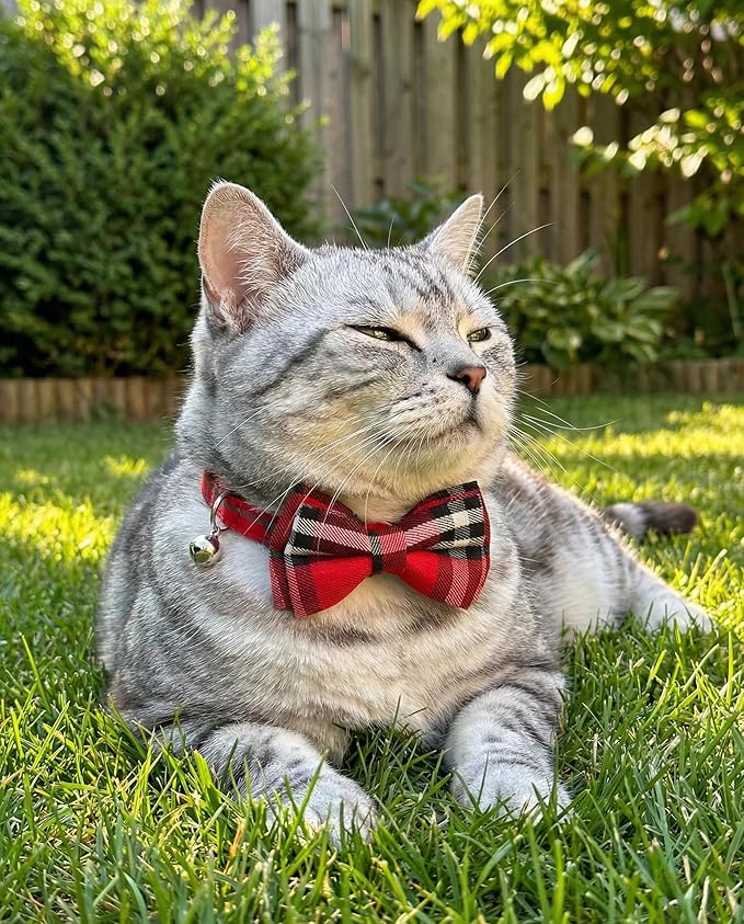THAIN Cat Collar Breakaway with Bell and Bow Tie Safety Buckle Red Plaid Pattern Adjustable 7-11 inches for Kitten Cats(Red Plaid)