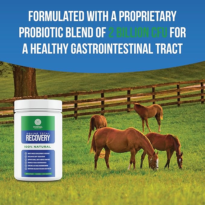 Equine Total Recovery Horse Supplement - 9 Equine Amino Acids Plus Probiotics for Horses -100% Natural- No Added Sugar, No Soy, No Fillers - Horse Joint Support Supplement (100 Servings)