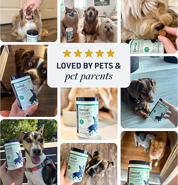 Veterinary Formula Dental Health Supplement for Dogs – Vet-Formulated Chews with EpiCor® & Kelp – Smart Vitality Supports Plaque, Tartar, Breath & Oral Health, 60 Soft Chews
