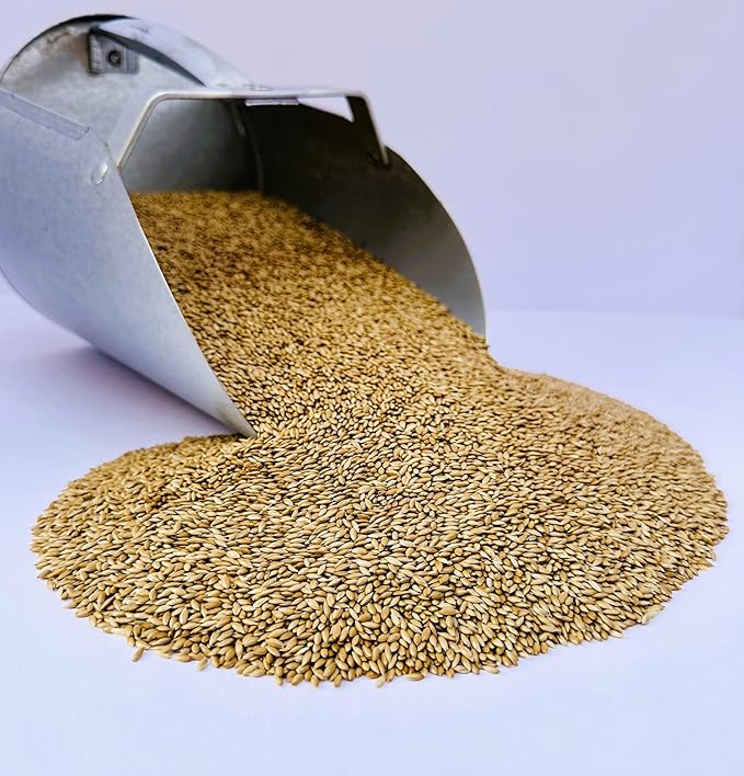 Desert Valley Canary Seed, All Natural, Non-GMO Premium Wild Bird Food for Canaries, Finch, Song Birds, Dove and More (3 Pounds)