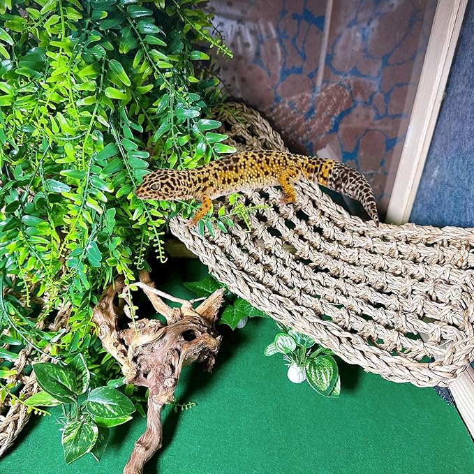 Tfwadmx 2Pcs Bearded Dragon Hammock Lizard Lounger Natural Seagrass Fiber Reptile Habitat Decor with Vine Plant for Hermit Crabs Geckos Snakes