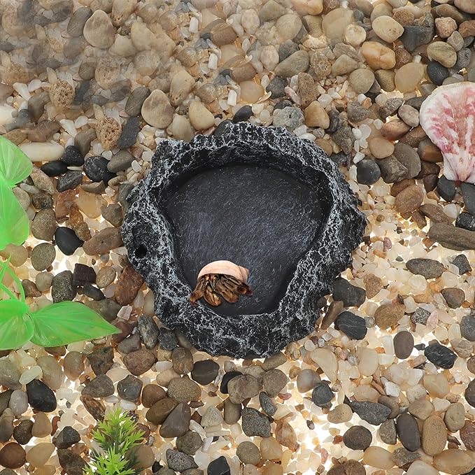 Reptile Food Dish, Resin Lizard Reptile Food Dish, Turtle Water Bowl, Terrarium Feeding Bowl Accessory for Lizard Tortoise Snakes Gecko, Black Gray, 3.54"x3.54"x0.98"