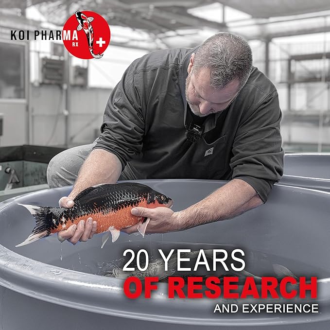 Koi Pharma® Pure Year-Round Bacteria Pro – All-Season Beneficial Pond Bacteria for Clear Water, Sludge Control & Healthy Koi and Goldfish (2 Pound)