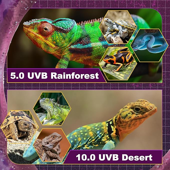 T5 HO UVB Lighting Combo Kit, 8W Reptile Light Fixture with Fluorescent Light Bulbs, Tropical 5.0 UVB Light for Reptiles and Amphibians, Basking Light for Bearded Dragon, High Output Natural Light