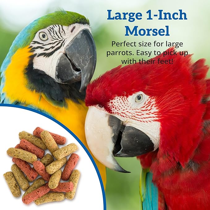 Scenic Mix Jungle Premium Parrot Food - Apple & Natural Flavors, High Protein, Low Iron Bird Pellets for Large Parrots, Macaw Food, Cockatoo, African Grey Parrots, Omega 3, Vitamins, Minerals, 2 LB