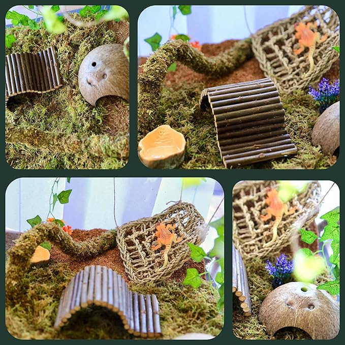 Hermit Crab Accessories, Natural Hermit Crab Toys Reptile Hammock,Coconut Shell Hideout Decor for Hermit Crabs Leopard Geckos, Crested, Tortoise, Snake (B-Group -6Pcs Hammock)