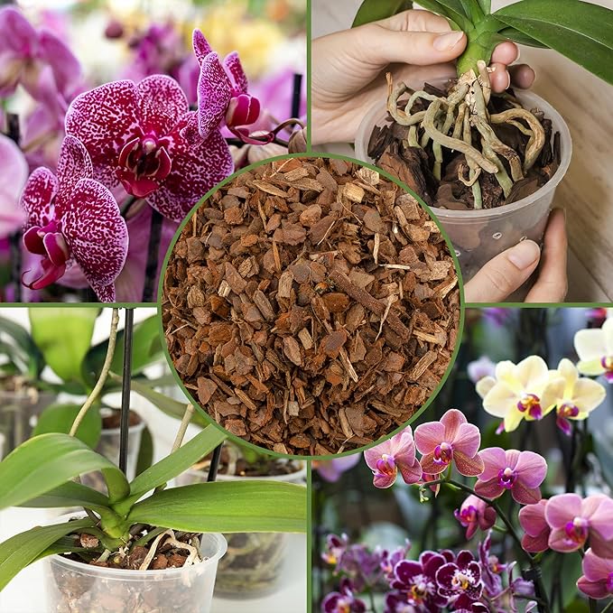 Soil Sunrise 100% Organic Orchid Potting Bark (8 Quarts) All-Natural USA-Sourced Pine Bark Orchid Mix Additive