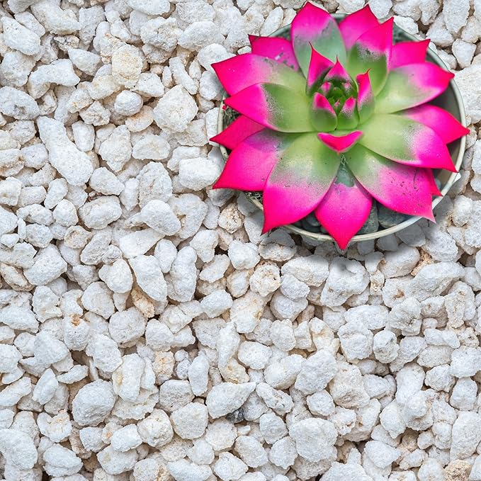 Perlite for Plants, Extra Coarse Grade 4 Horticultural Perlite, Organic Perlite for Gardening Indoor & Outdoor, Made in USA (20 quarts)