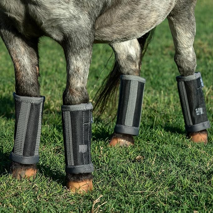 Professional's Choice Deluxe Fly Boots | Breathable Mesh | 4 Pack