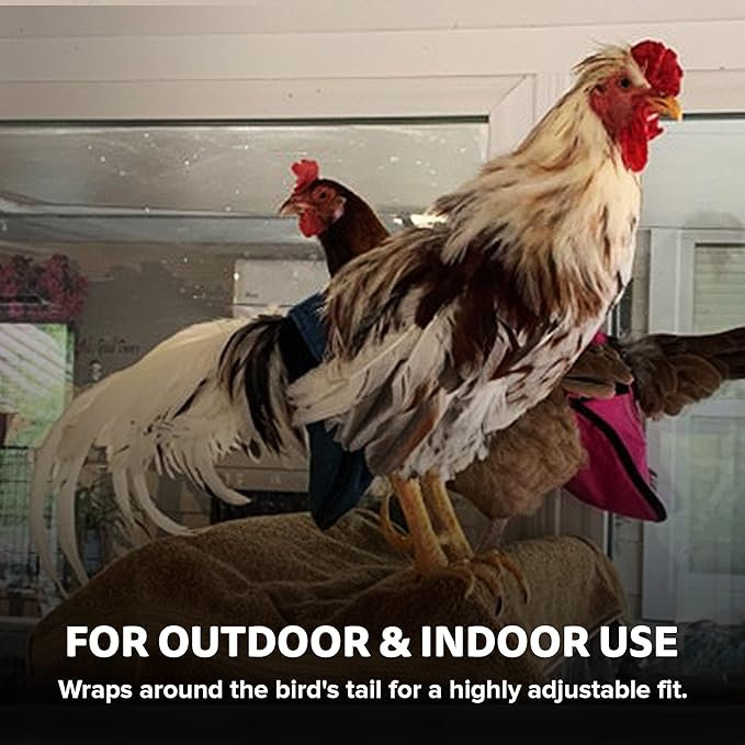 Hen Holster Wrap-Around Bird Diaper & Harness for Hens, Roosters, Ducks, Geese - with Removable Vinyl Liner, Adjustable Fit for Outdoor Adventures & Indoor Use - Easy to wear - Large, Purple