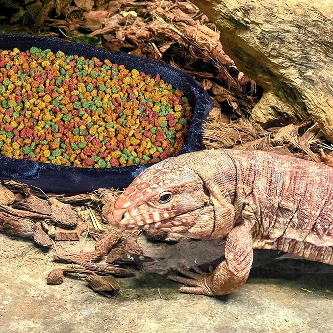 Gecko Cave Reptile Feeding Tray – Naturalistic Pet Dish for Lizards, Snakes, Bearded Dragons, Tortoises & Turtles - Burnt Titanium