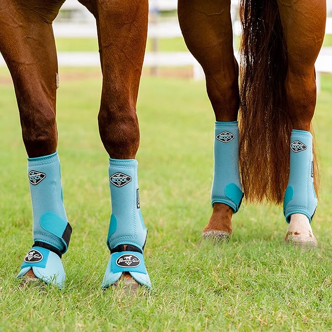 Professional's Choice 2XCOOL Sports Medicine Horse Boots | Protective & Breathable Design for Ultimate Comfort, Durability & Cooling in Active Horses | 2 Pack