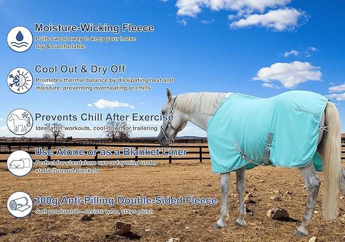 Horse Fleece Cooler, Blanket Liner - 300g Anti-Pilling Fleece, Moisture-Wicking, Cooling & Drying for Post-Workout, Bath & Travel, Prevent Overheating & Chilling Mintgreen 72