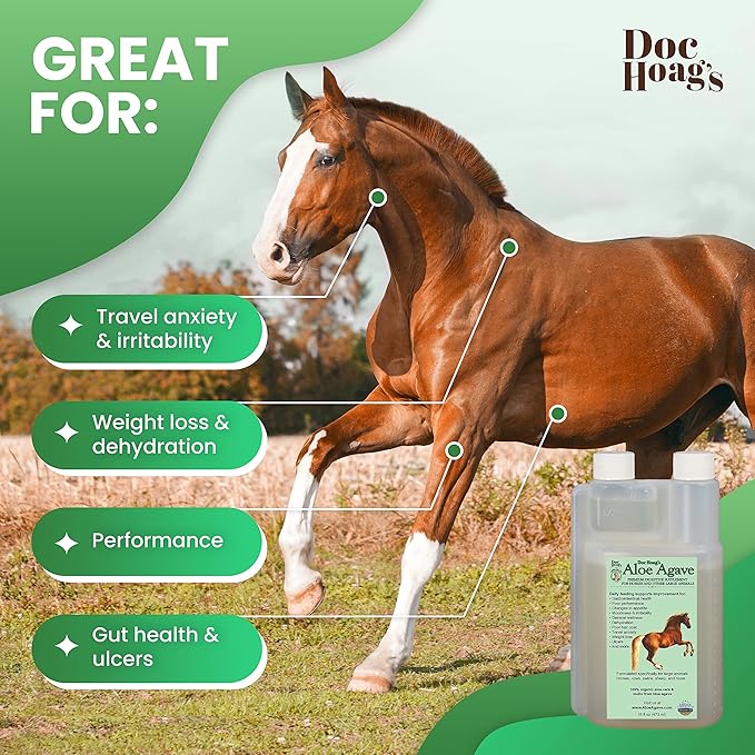 Doc Hoag’s Aloe Vera+Agave Premium Horse Supplement – Made in USA – Original Udder Balm – Natural Gastric Support for Horses & Large Animals – Stress Relief & Ulcer Care, 16 Fl Oz.