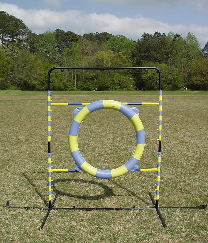 Agility Tire Jump (Hoop Jump)