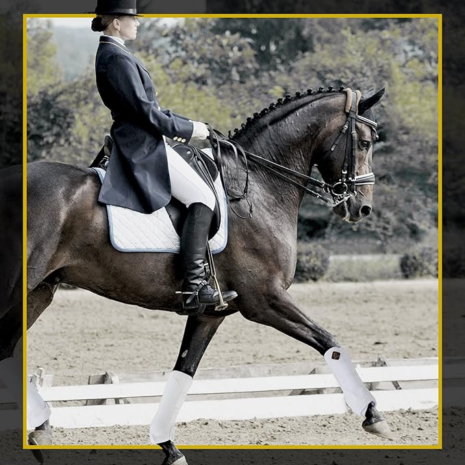 Kavallerie Classic Tendon Boots, Impact-Absorbing Material, Breathable & Evenly Distribute Pressure, Protect Tendon and Ligaments, Anti-Slip, Anti- Sore and Moisture Repellant Show Jumping Boots