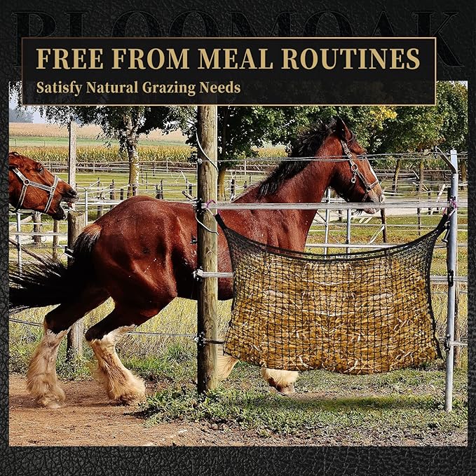 Bloomoak Ultra Slow Feed,Knotless Slow Feed Hay Net with 4 Carabiner Clips for Horses/Soft Flat Hanging Hay Bag with Large Capacity for Full Day Feeding (M 35 * 31", 1" Hole for Ultra Slow Feed)…